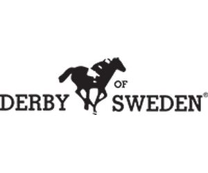 Derby Of Sweden