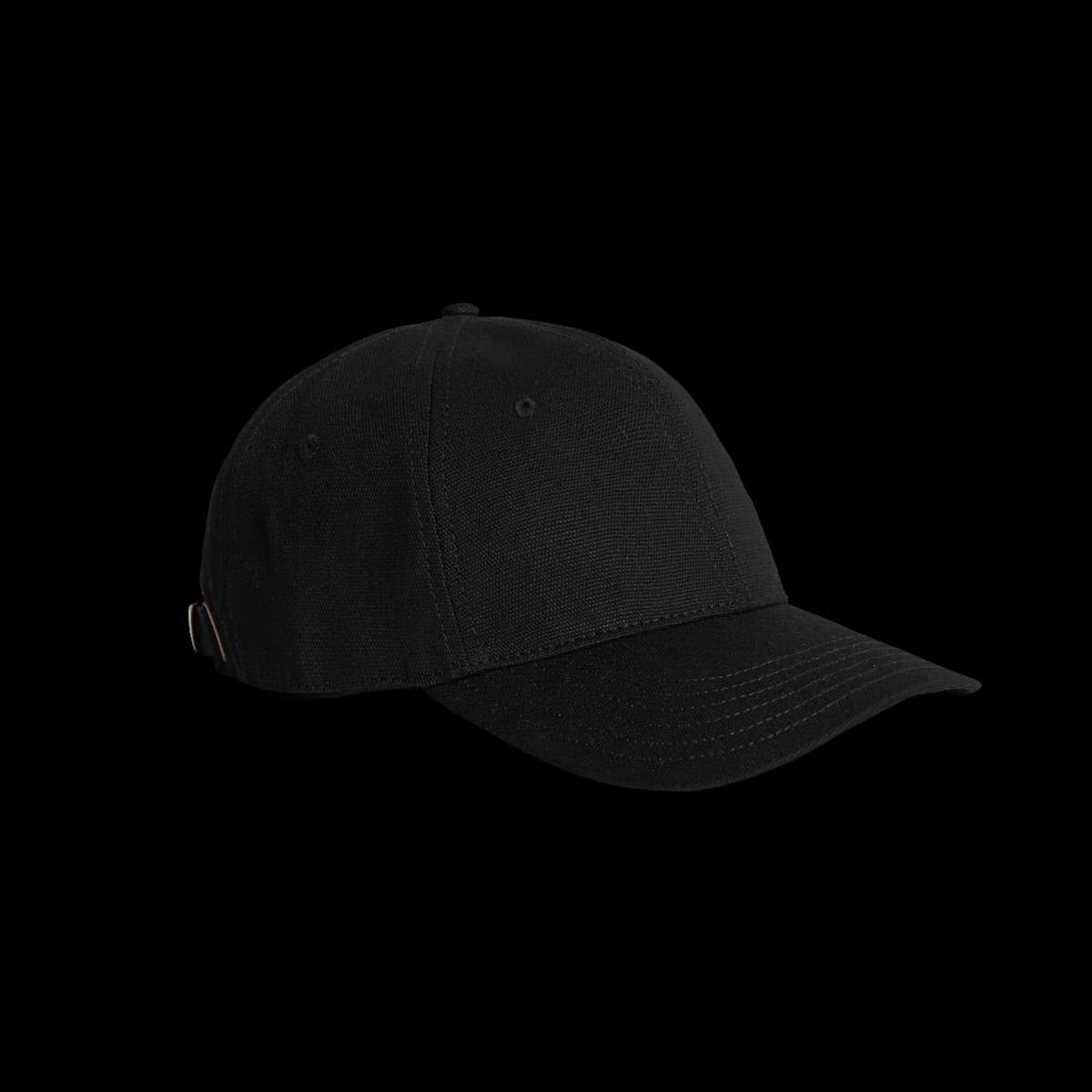 Access Canvas Cap | 1131