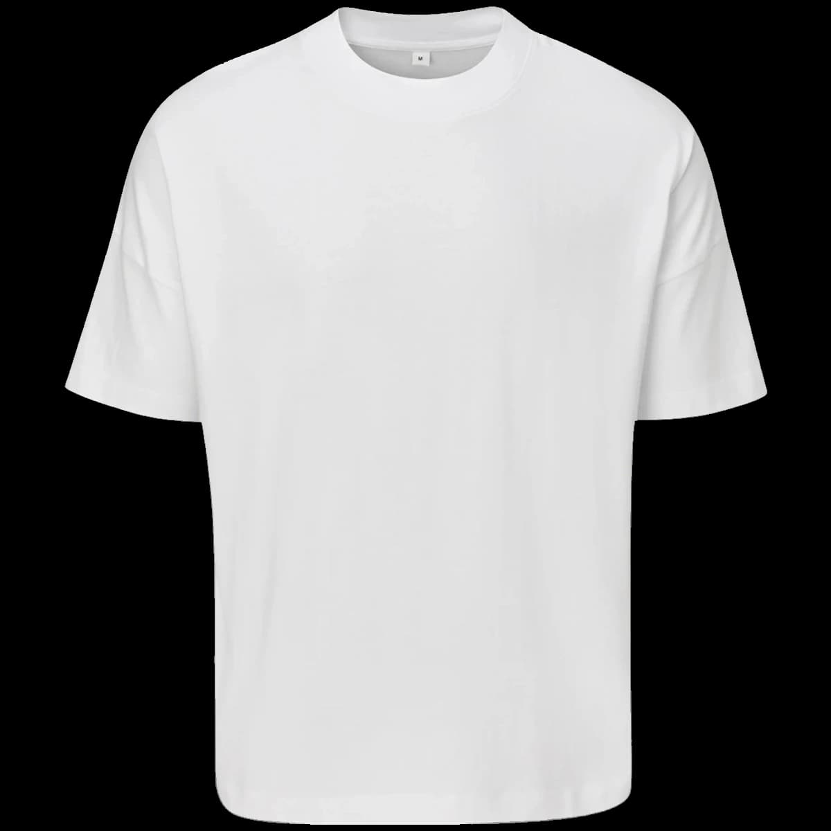 Mantis Unisex Oversized Heavy T-Shirt — front