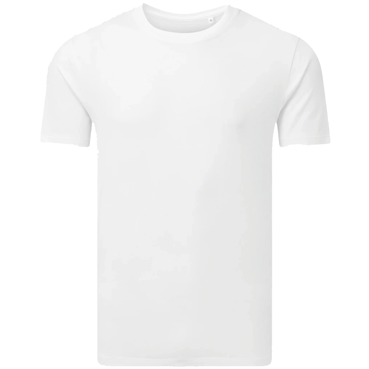 Anthem Unisex Organic Midweight T-Shirt — front