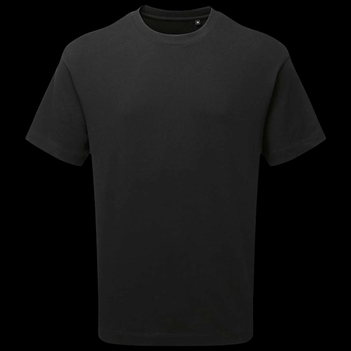 Anthem Unisex Organic Heavyweight T-Shirt — front