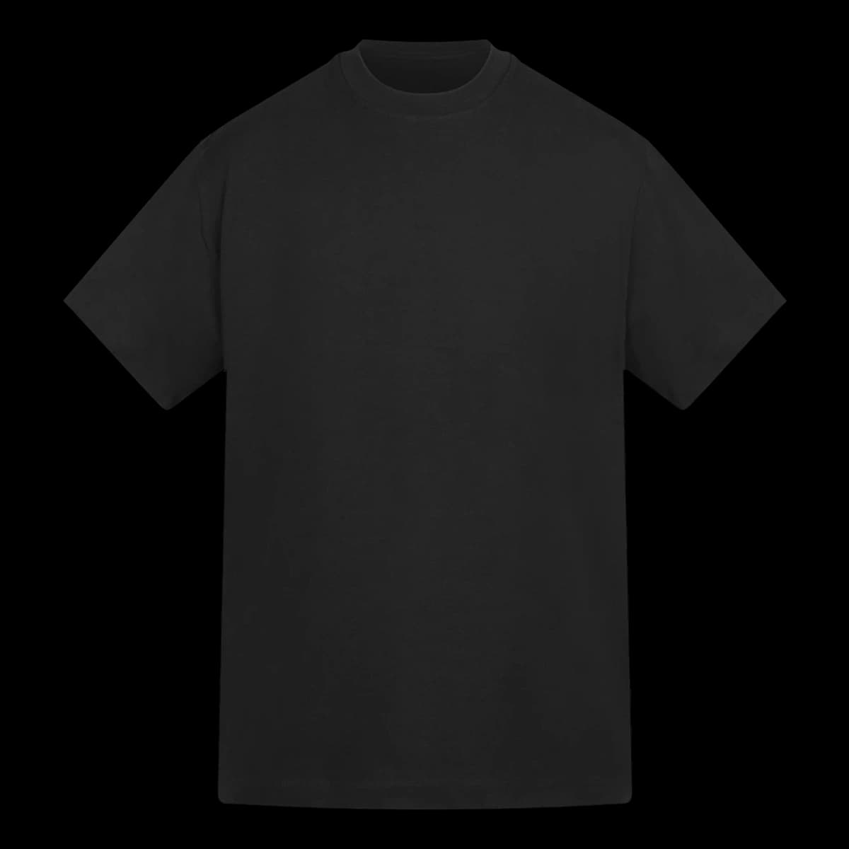 Anthem Amplify Heavyweight T-Shirt — front