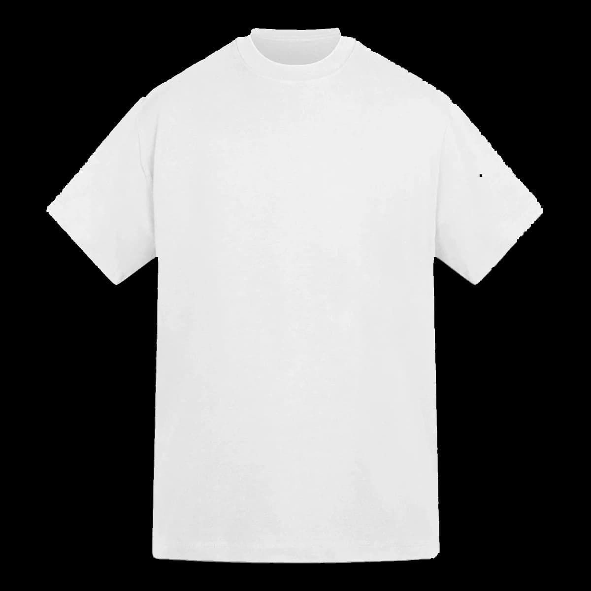 Anthem Amplify Heavyweight T-Shirt — front