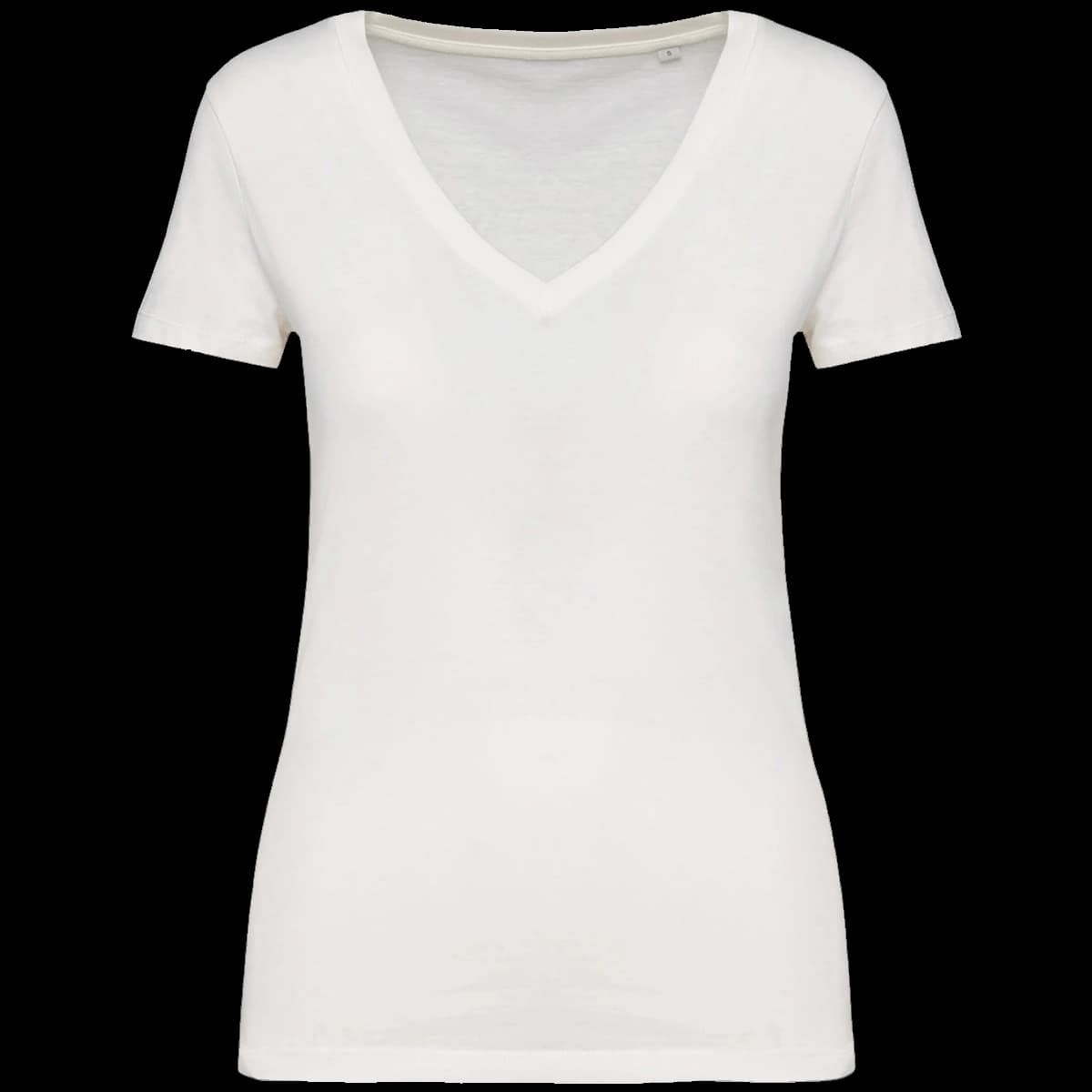 Native Spirit Ladies V Neck T-Shirt — front