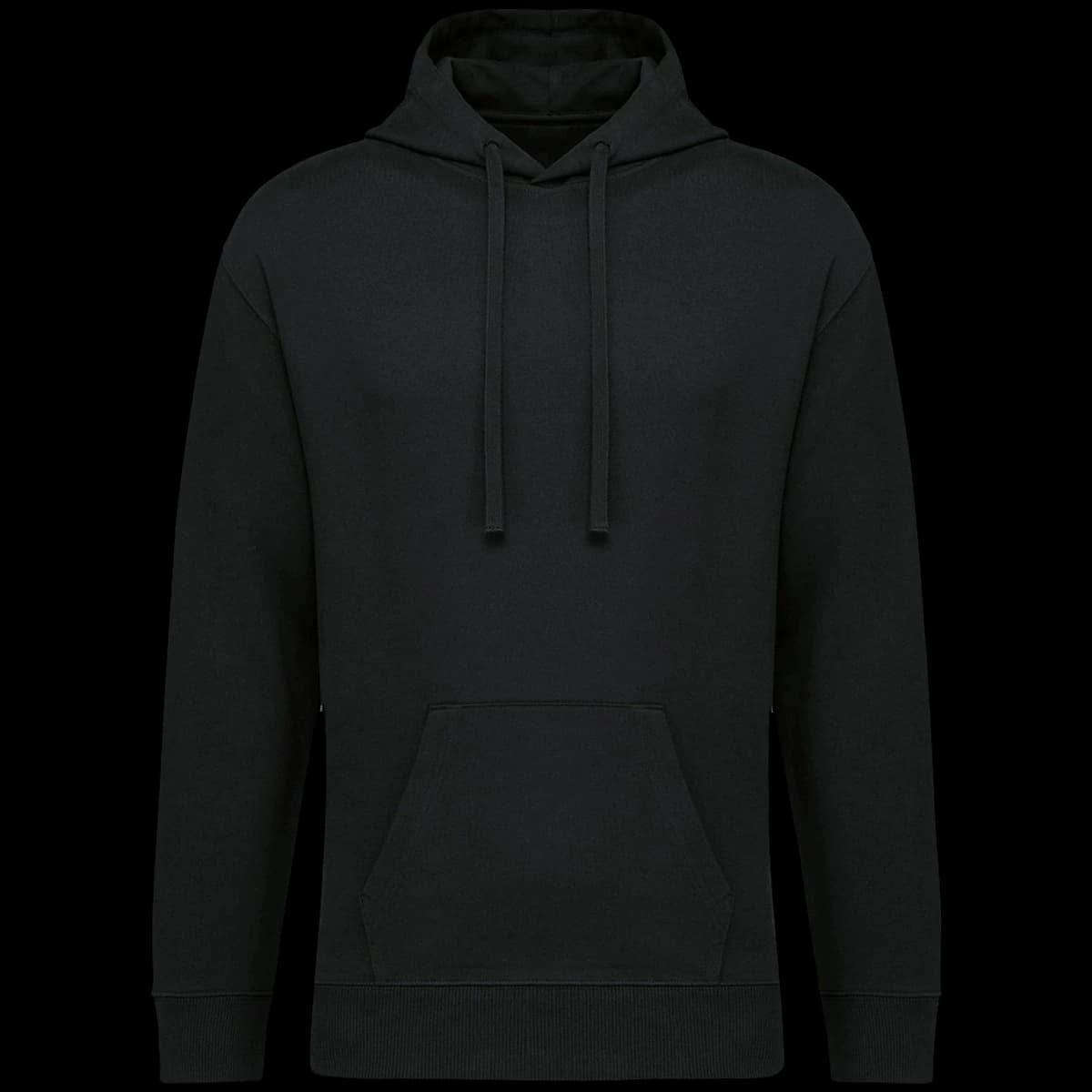 Native Spirit Unisex French Terry Hoodie — front