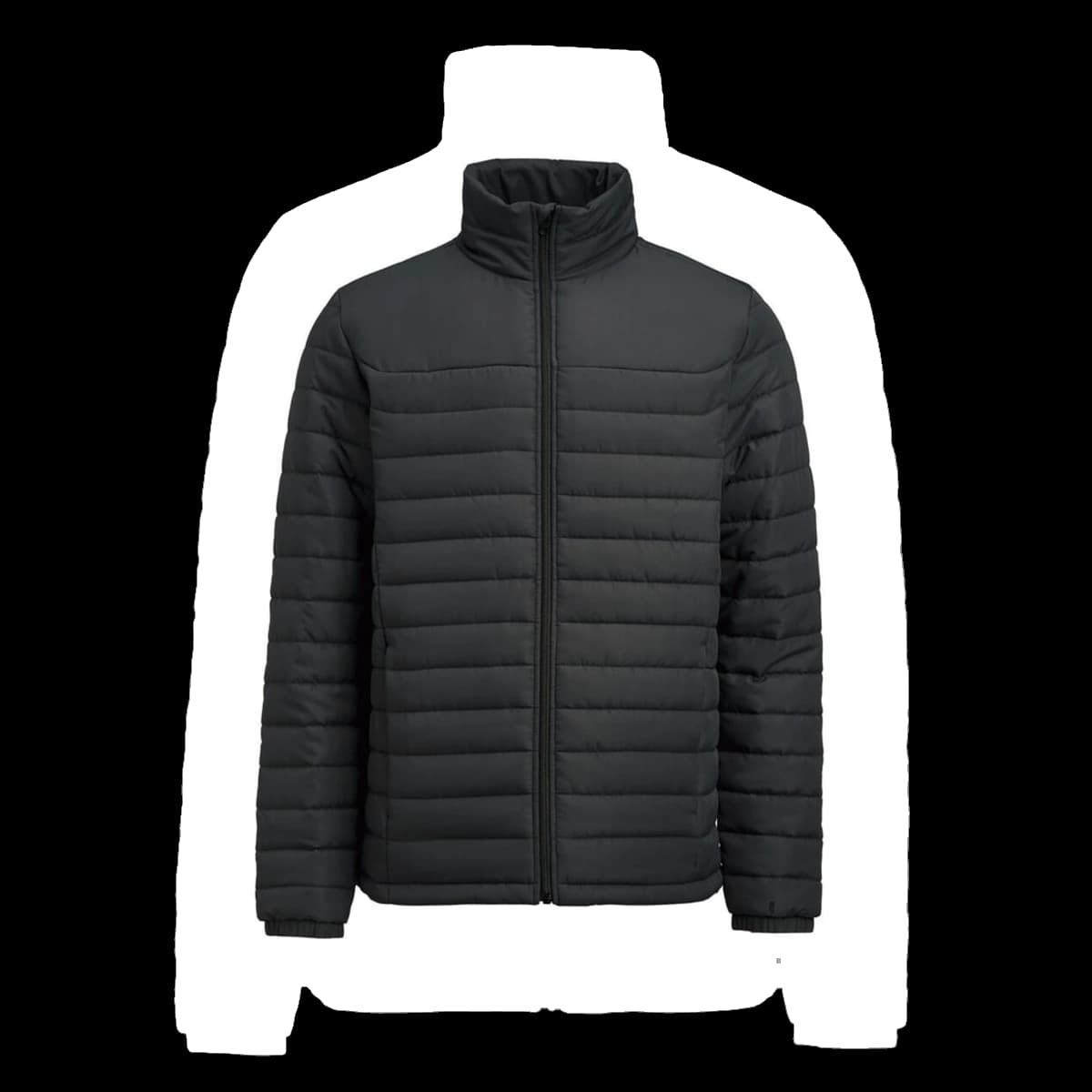 Arches Jacket
