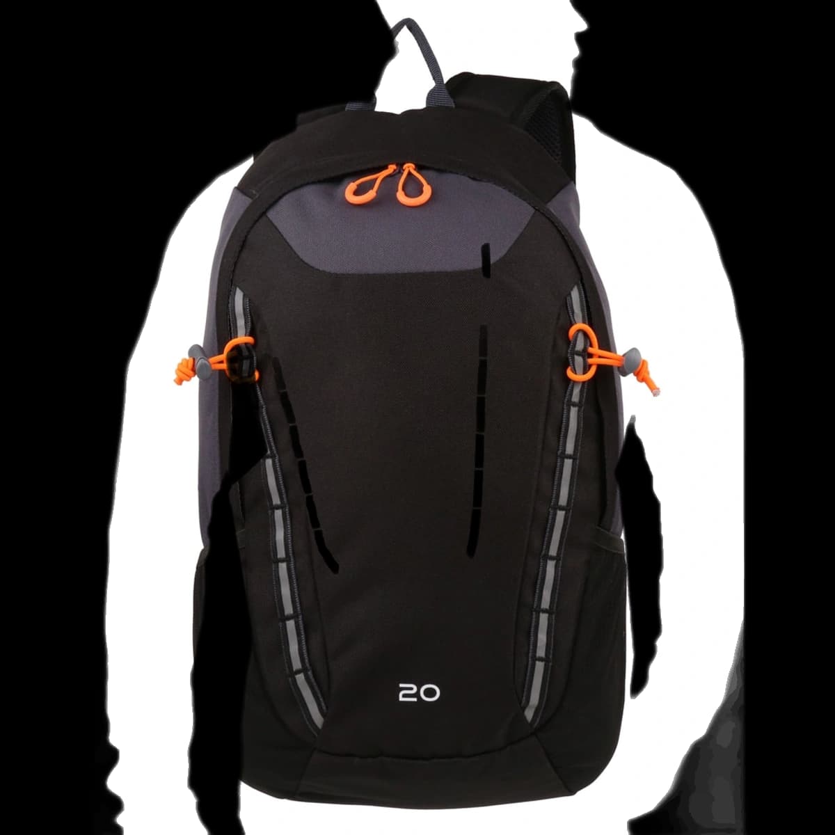 Ridgetrek 20L Backpack