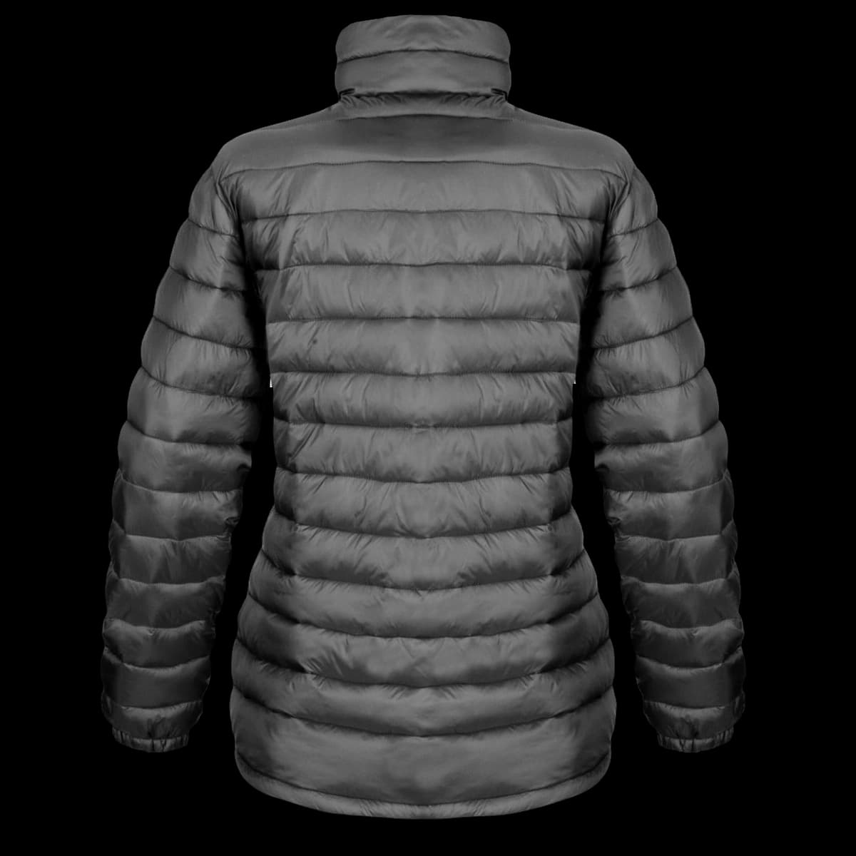 Ladies' Ice Bird Padded Jacket