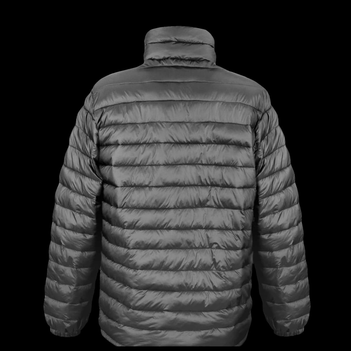 Men's Ice Bird Padded Jacket