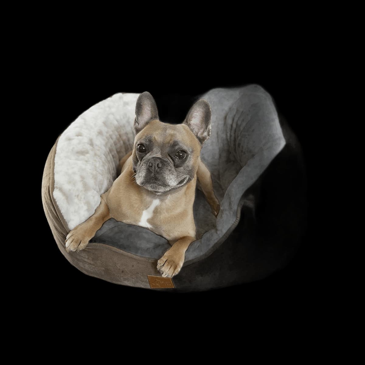 Dog butterfly bed