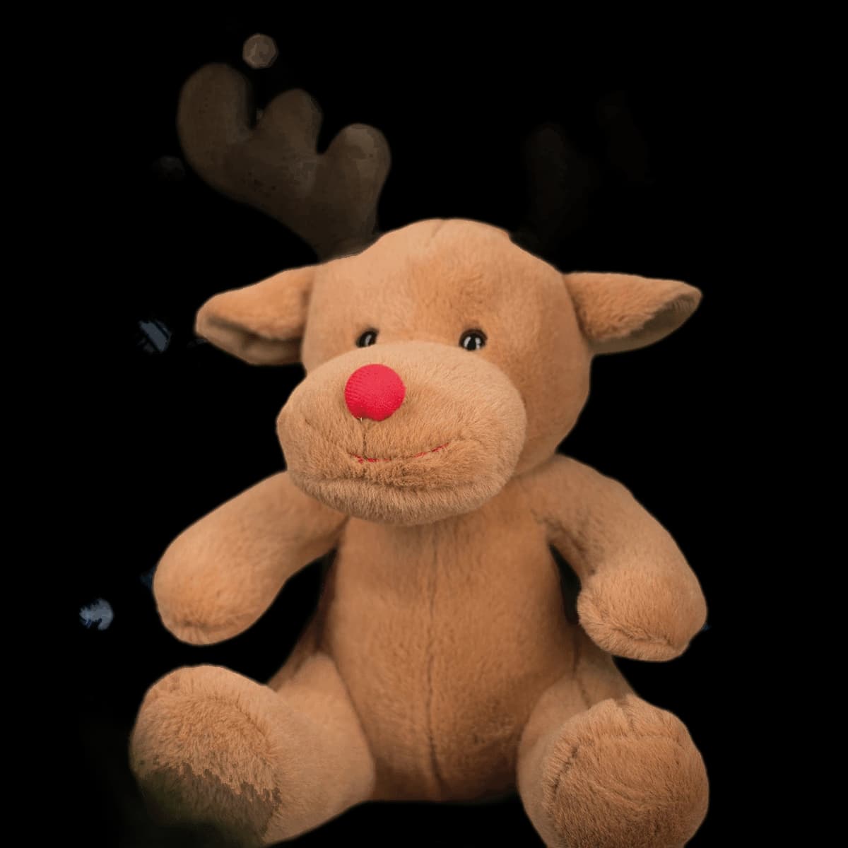 Reindeer