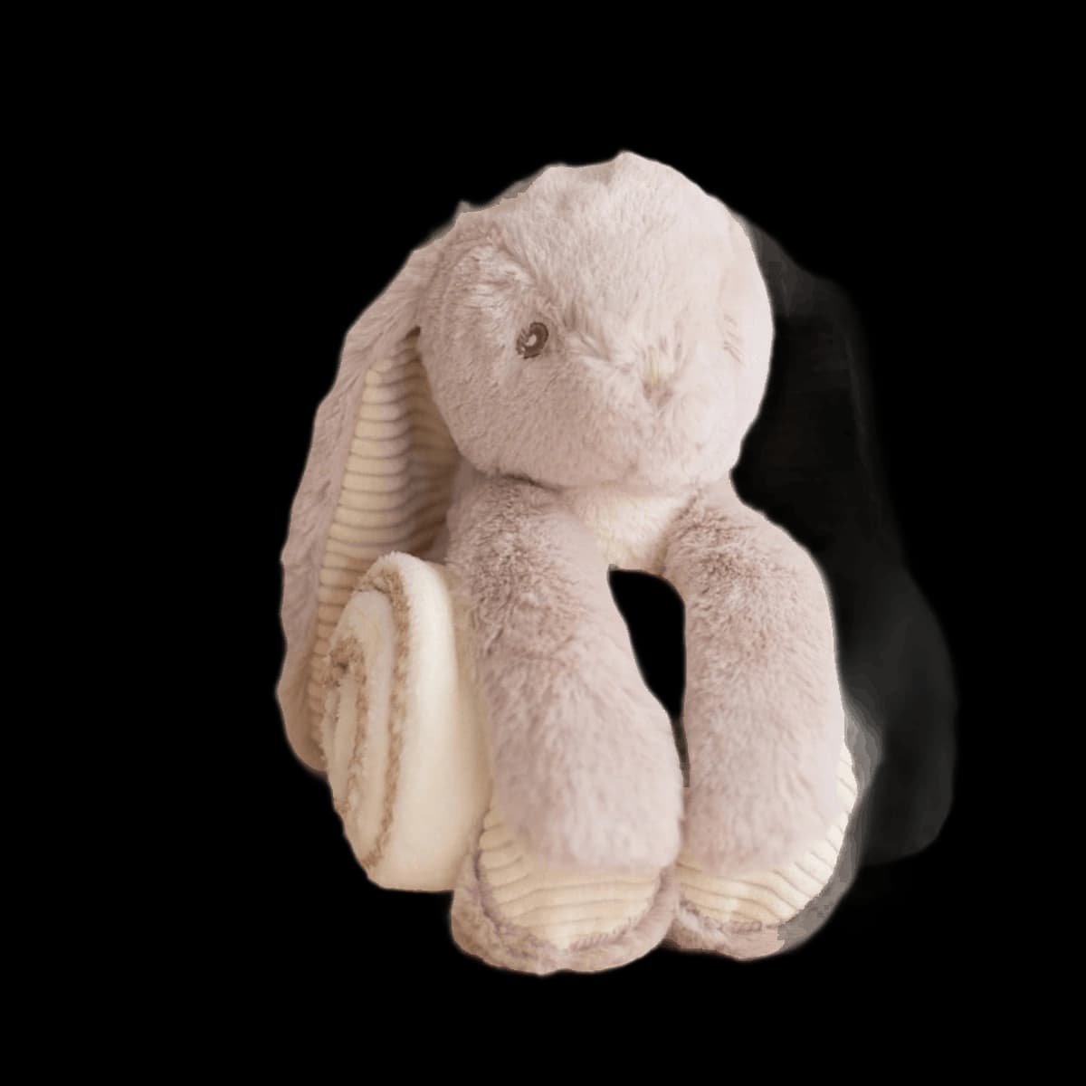 Rabbit and blanket