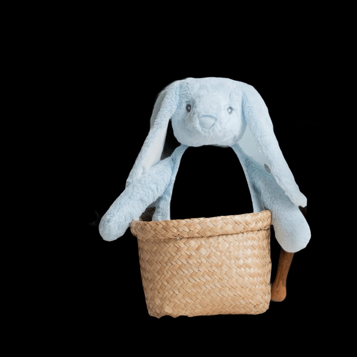 Zippie bunny