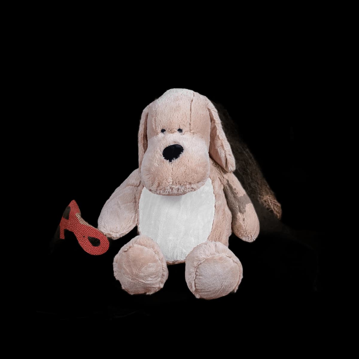 Zippie dog