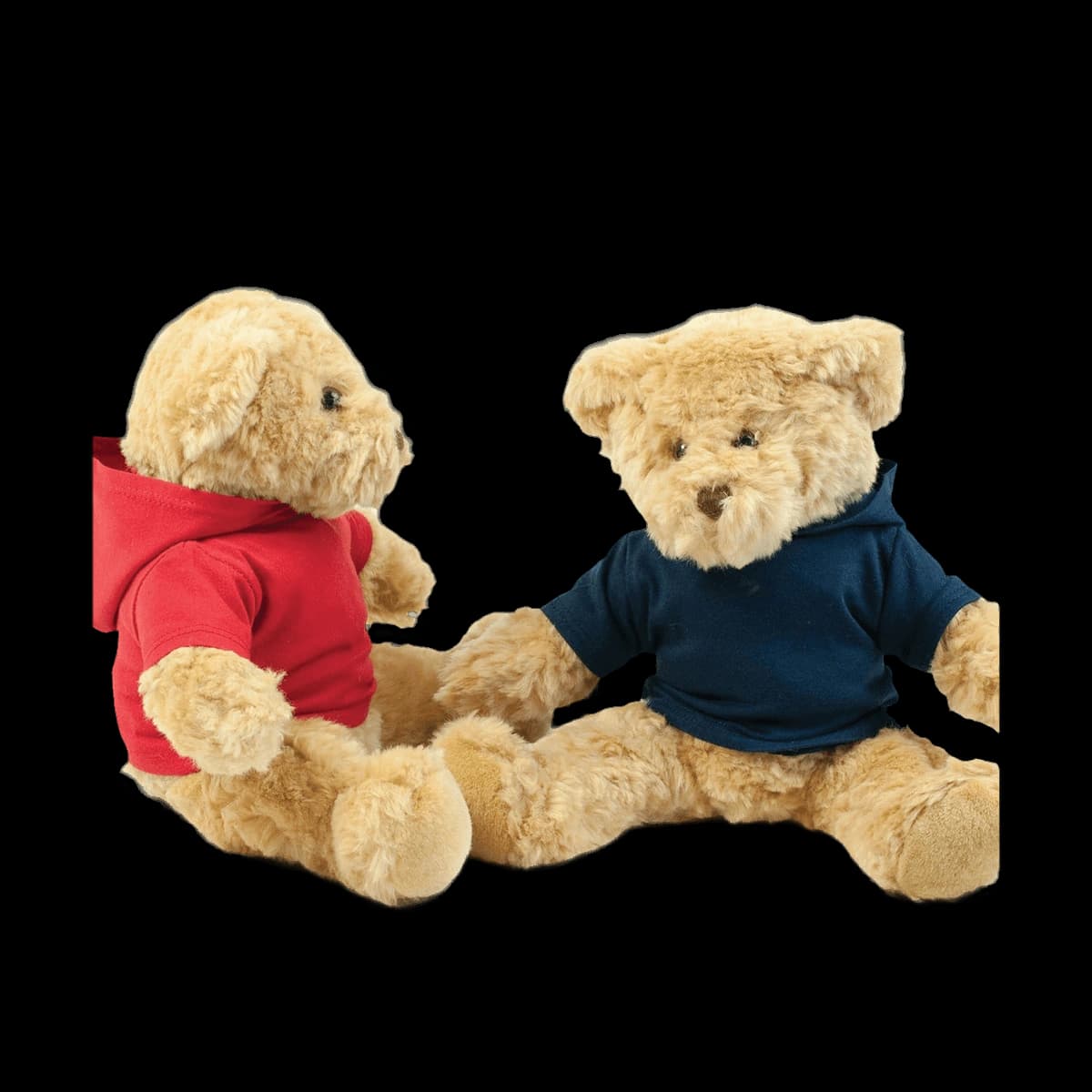 Teddy hoodie