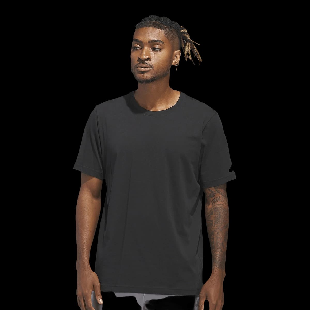 Blank tee