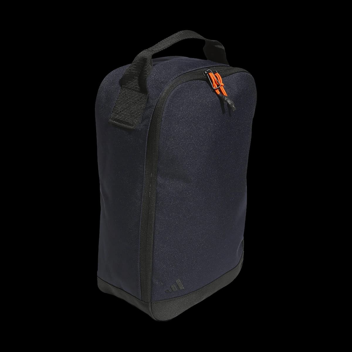 Shoe bag